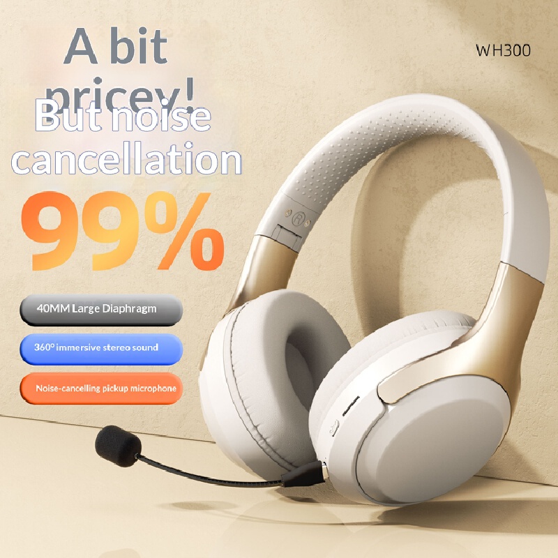 Over-ear draadloze Bluetooth-h - Phone Accessories Officeworks recensie en prijs